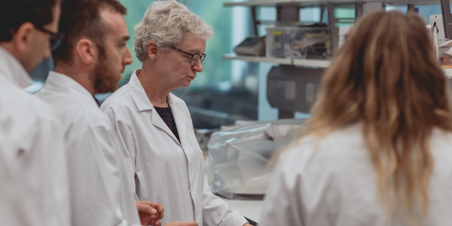 Research shows engineered human cells can repair myelin in